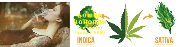 крисы Володарск