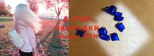 крисы Володарск
